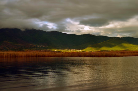 A beautiful view with reflection of sunlight.