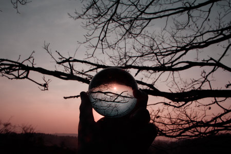 Reflections of a tree in a lensball during sunset.の写真素材