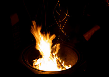 A closeup shot of a burning bonfire in a forest