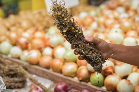 A closeup shot of a bunch of dried flowers on the background of onions at the marketの写真素材