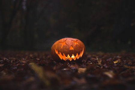 Scary halloween pumpkin face in the dark.の写真素材