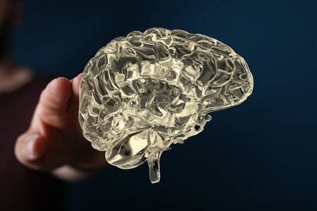 A 3D rendering of a man pointing at a human brain anatomical modelの写真素材