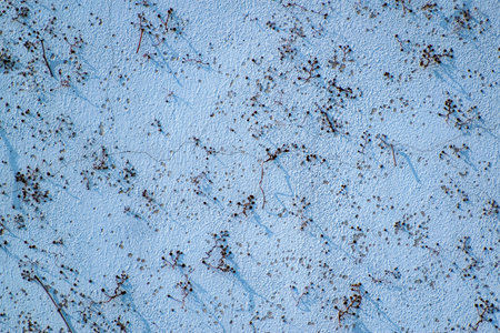 The blue wall with a textured surface.
