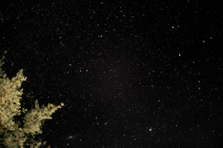 A low angle shot of the dark sky with bright starts making up constellations