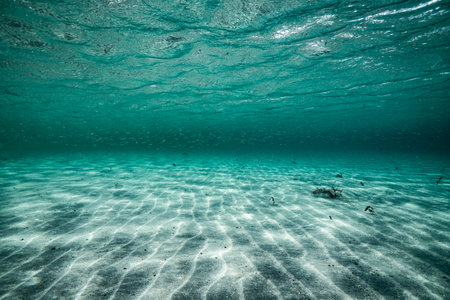 A turquoise underwater world texture background