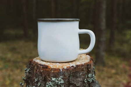 the cup in the grassの写真素材
