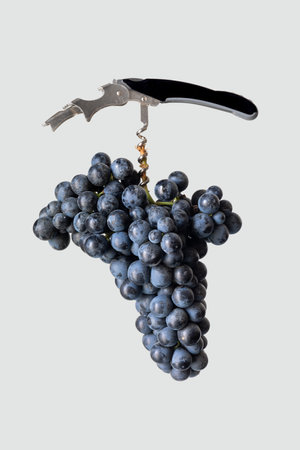 A closeup of the grapes on the surface