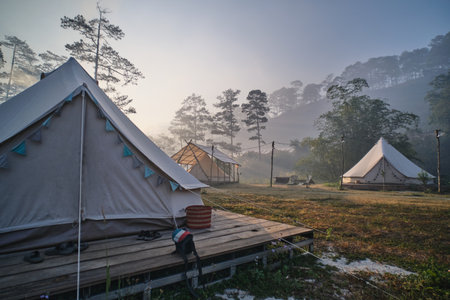 A beautiful shot of white tents in a natureの写真素材