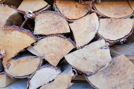 A close-up shot of freshly cut and stacked tree wood logs outdoorsの写真素材