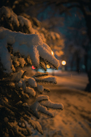 A vertical shot of a street surrounded by trees covered in snow in winter