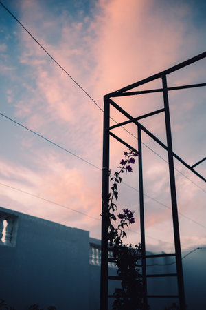 A vertical shot of a white clouds in a building terrace.