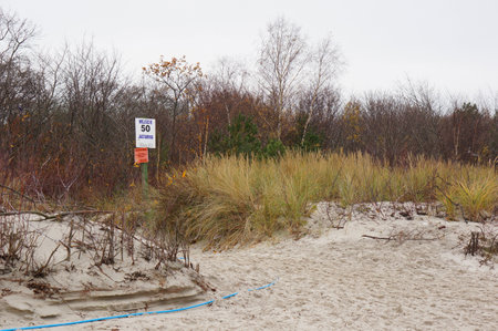The sign with number  on the sandy terrain with the trees in the backgroundの写真素材