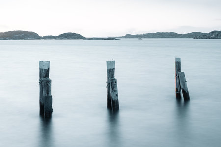 A coastal scenery in the evening light in Swedenの写真素材