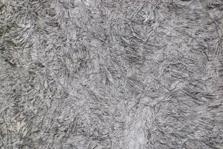 The gray surface with abstract texture for wallpapers and background.