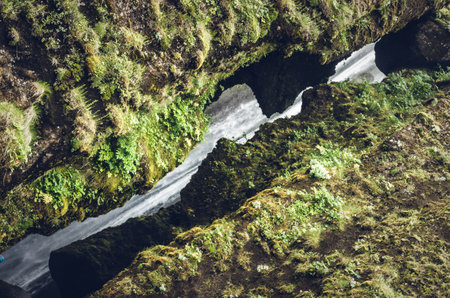 The rocks covered with green moss.の写真素材