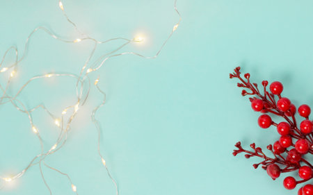 A closeup shot of red Christmas berries and lights on a light-blue surfaceの写真素材