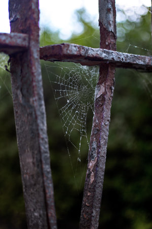 Spiderweb hanging upon a rusted fence in a cold autumn morning.の写真素材