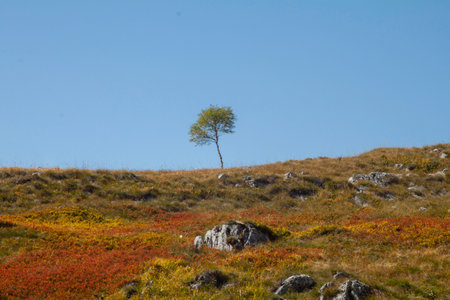 A beautiful shot of a natural landscapeの写真素材