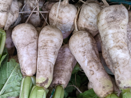 A closeup of fresh parsnip vegetables in a marketの写真素材