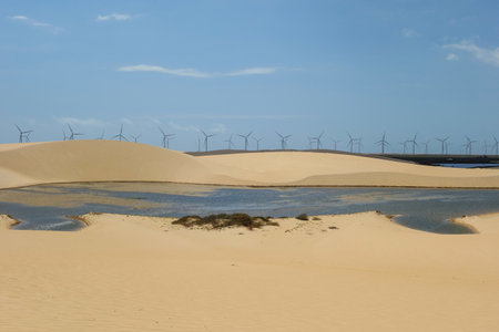 A beautiful shot of a pond in Lencois Maranhenses park, Brazilの写真素材
