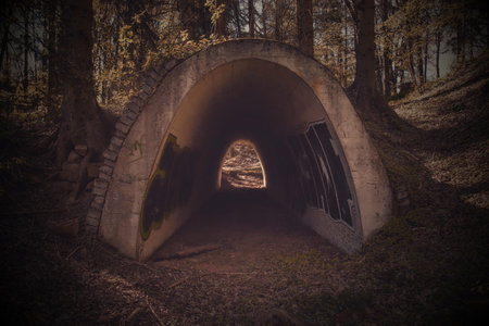 The tunnel ruins of the incomplete project of Hitler's highway in the forest near Zernovnik, Czech republicの写真素材