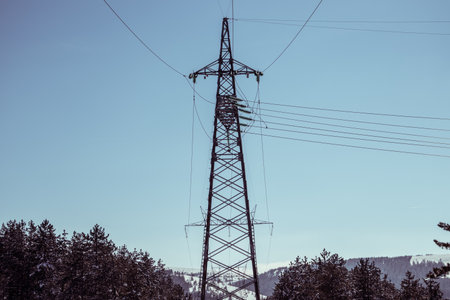 Landline in nature with a blue skyの写真素材