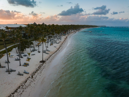 A landscape of the Punta Cana Beach surrounded by the sea and greenery in the Dominican Republicの写真素材