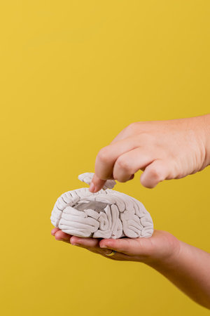 A vertical shot of a man collecting a brain