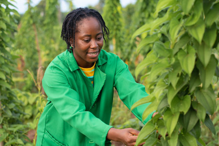 A female African farmer working on the fieldの写真素材