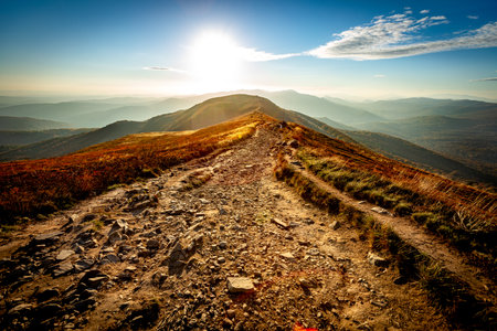 A beautiful view of the Bieszczady Mountains at sunriseの写真素材
