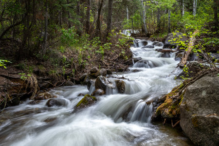 Beautiful scenery of a fast-streaming river in Bells Canyon, Utah, USA