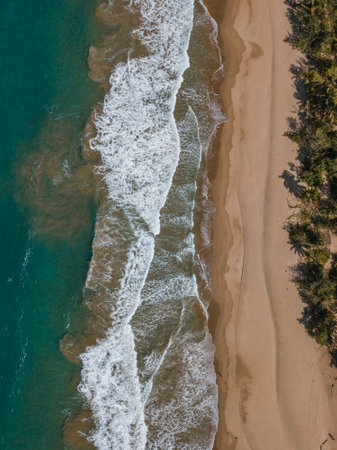An aerial shot of El Valle Beach surrounded by greenery and sea in Samana, the Dominican Republic