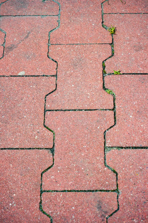 A vertical shot of brick pavement in the streetの写真素材