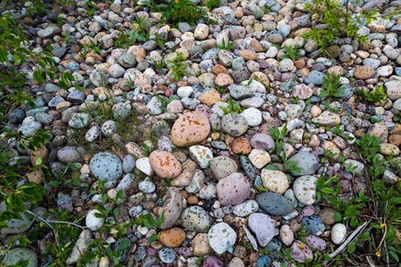 The rocks at the riverbed of Cottonwood Creek, Yellowstone National Park, Wyoming, USA