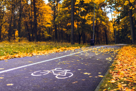 A narrow bicycle road through orange trees in the park, autumn in Klaipeda, Lithuaniaの写真素材