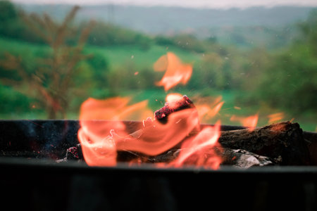 Fire burning wood in a grill on a nature field in a village during day in  Mala Ivanca, Serbia