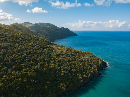 A landscape of El Valle Beach surrounded by greenery and sea in Samana, the Dominican Republicの写真素材