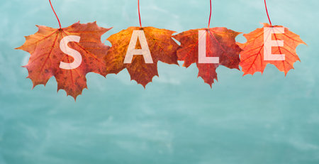 The word sale is standing on autumn colored leaves, blue background, copy spaceの写真素材