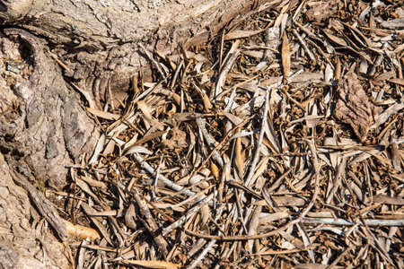 A top view of sawdust in a sunny fieldの写真素材