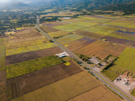 A landscape of farm field crops surrounded by greenery under the sunlight in the countrysideの写真素材