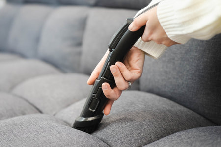 Professionally nozzle releasing very dirty sofa from dust. Early spring cleaning or regular clean up.の写真素材