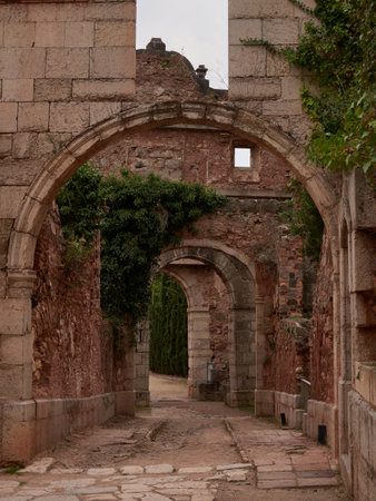 A vertical shot of Carthusian monastery founded in 1194. Cartoixa d'Escaladei, Spain.