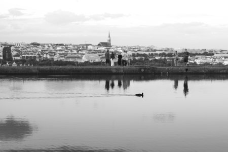 A grayscale shot of a river with people standing on the coast on the background of the cityの写真素材