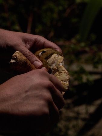 A vertical closeup of the man's hands holding mushroom.