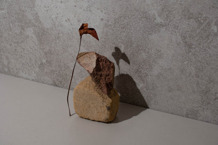A pair of balanced stones and a dried flower on a rock background