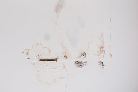 Mould on the ceiling after water damage, moistureの写真素材