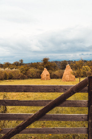 A vertical shot of a field with dry hey stacks and trees under a cloudy skyの写真素材