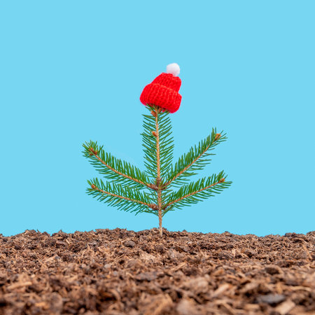A vertical shot of a fir twig and winter hat on the ground on a pastel blue backgroundの写真素材