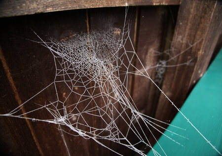 A closeup of a spiderweb covered in the frost on a wooden wall in the daylightの写真素材