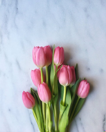 A bunch of pink tulip flowers on a white surfaceの写真素材